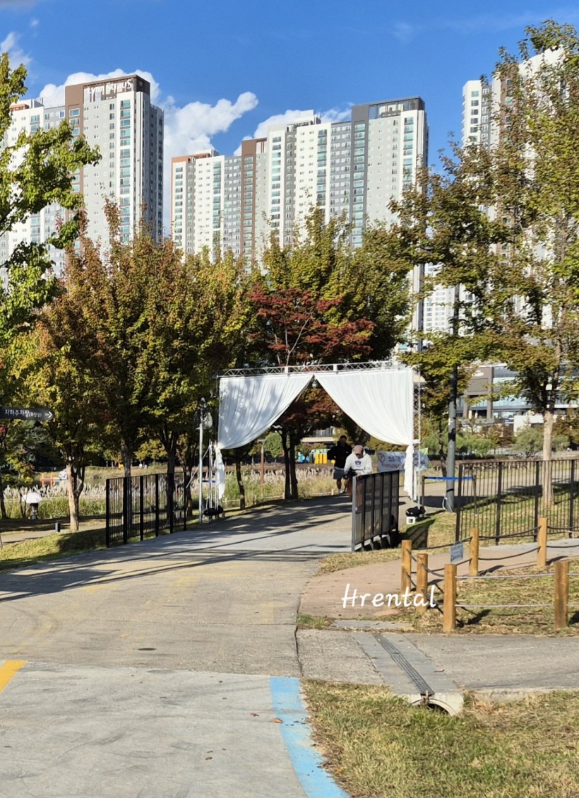 79ecb1ba6b2ecde84aa943e896a2782e_1762396